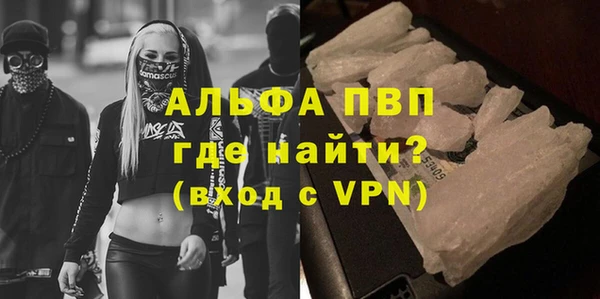 индика Елабуга