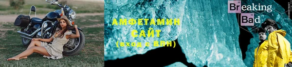 индика Елабуга