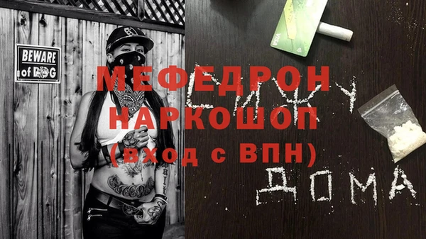 индика Елабуга