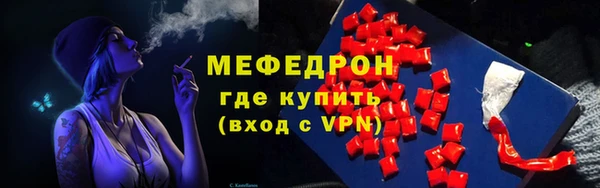 индика Елабуга