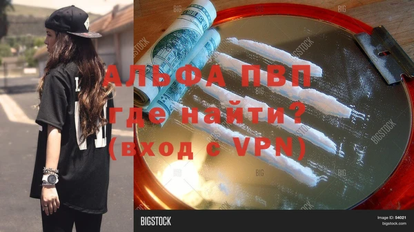 индика Елабуга