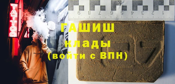индика Елабуга
