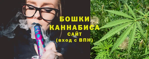 индика Елабуга