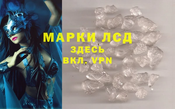 индика Елабуга