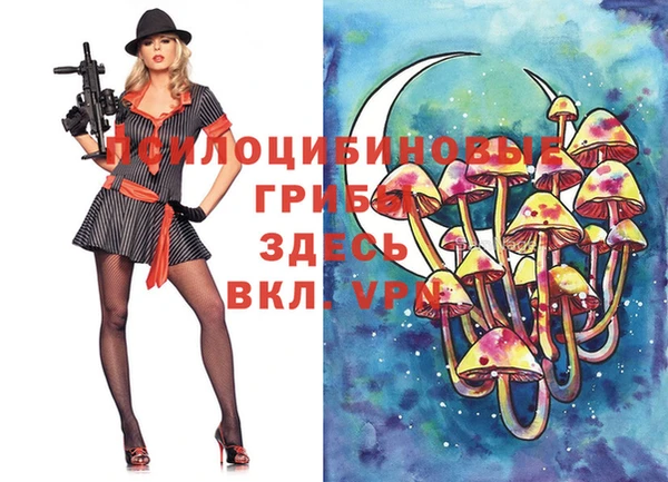 MDMA Елизово