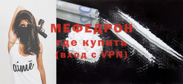 индика Елабуга