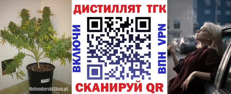 Купить закладки  Котельнич  ТГК концентрат 