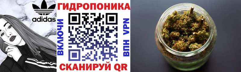 Купить где  Котельнич  Конопля Amnesia 